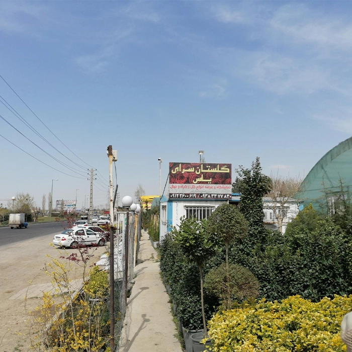بهترین تولید کننده گل در ایران