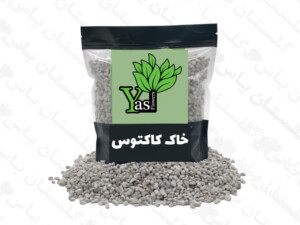 خاک کاکتوس