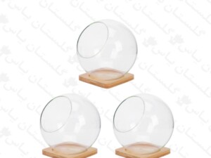 شیشه تراریوم