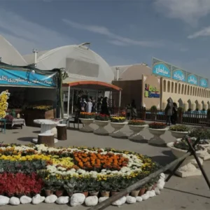  بهترین مرکز فروش گل صادراتی