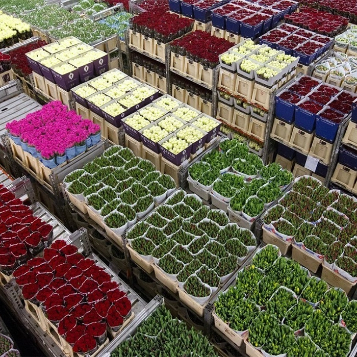 بازار صادراتی گل ایران