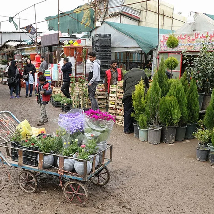بازار گل عمده در ایران 