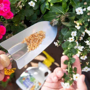 آیا استفاده از کود گلدهی معایب هم دارد؟