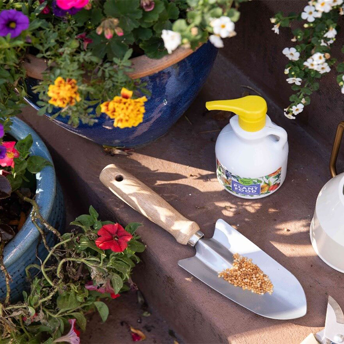 مزایای کود فسفر بالا