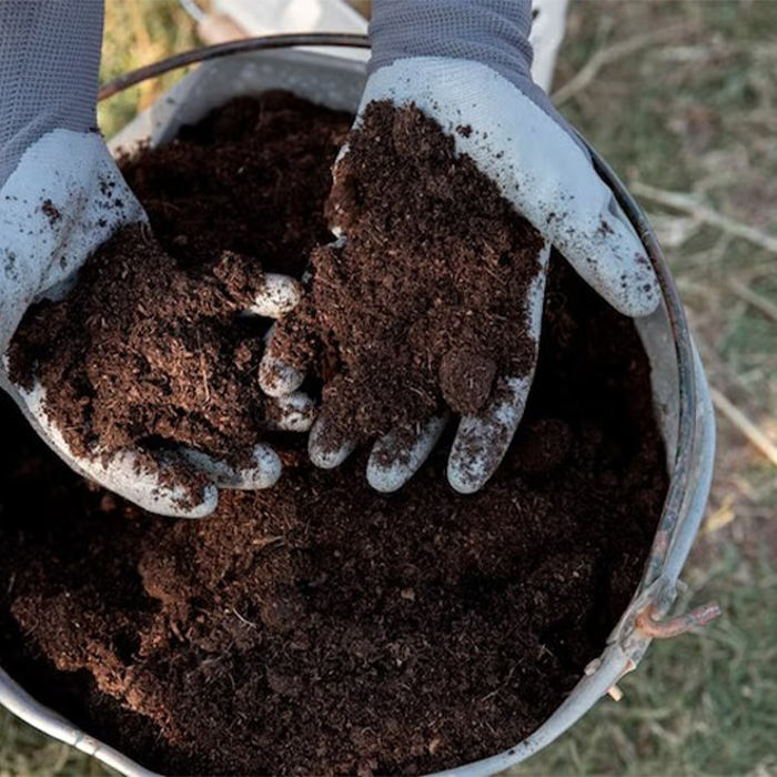 اسید هیومیک برای چه گیاهانی مناسب نیست؟