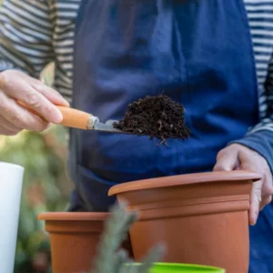 اسید هیومیک برای چه گیاهانی مناسب است؟