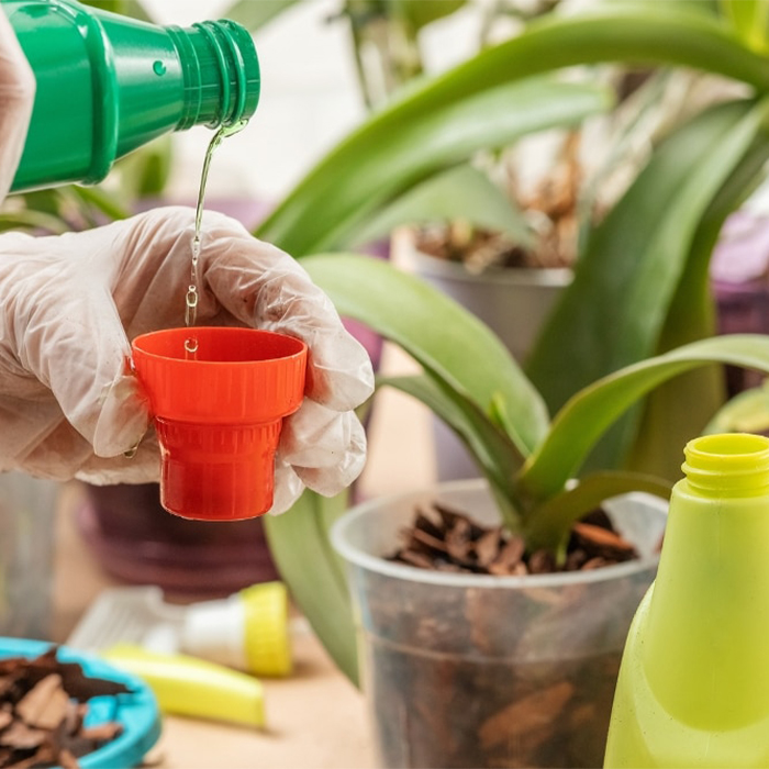 کود آهن چیست؟