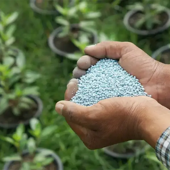 بهترین زمان مصرف کود آهن برای گیاهان آپارتمانی 