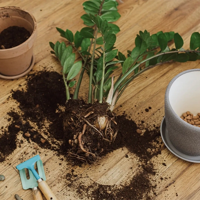 ویژگیهای خاک سنگین و کاربرد آن در باغ و فضای باز