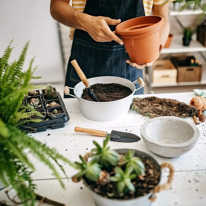 مزایا و معایب خاک سبک برای گیاهان آپارتمانی