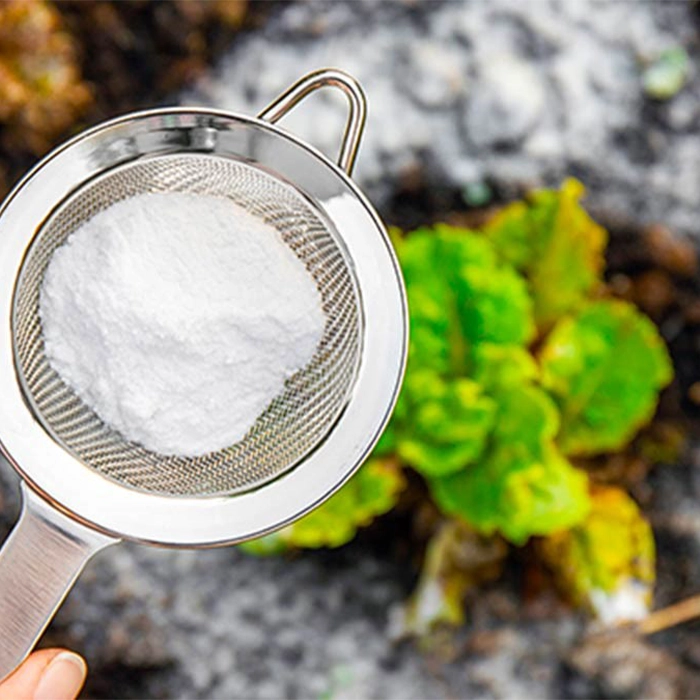 انواع قارچکشها