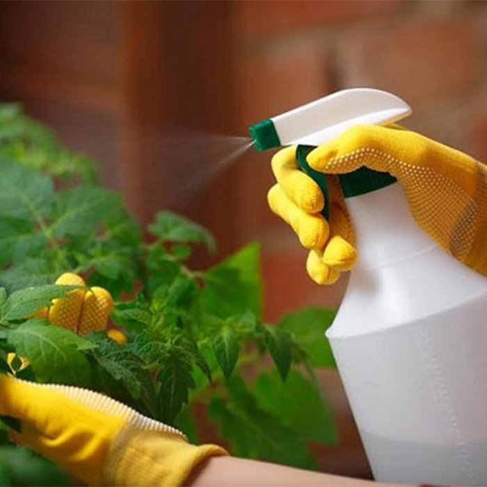 قارچ کش گیاهان چیست؟