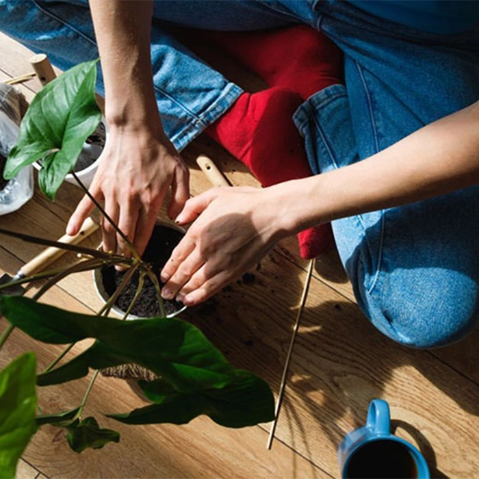 نحوه استفاده صحیح از تفاله قهوه