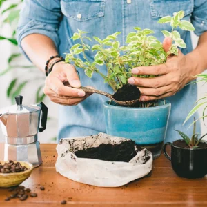 قهوه برای تقویت گیاهان