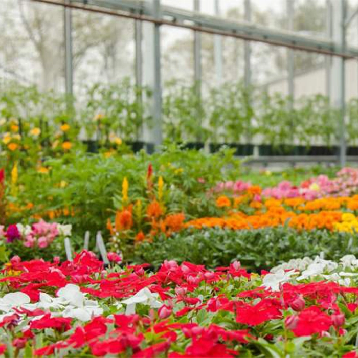 تأثیر کیفیت خدمات بر استراتژی قیمتگذاری