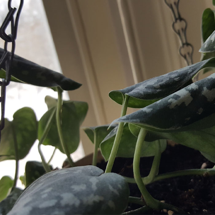 تغییرات دما و جریان هوای سرد یا گرم