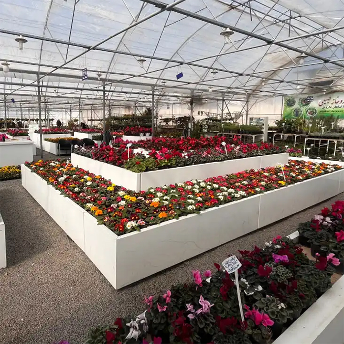 کدام گل‌ها برای فروش عمده سود بیشتری دارند؟