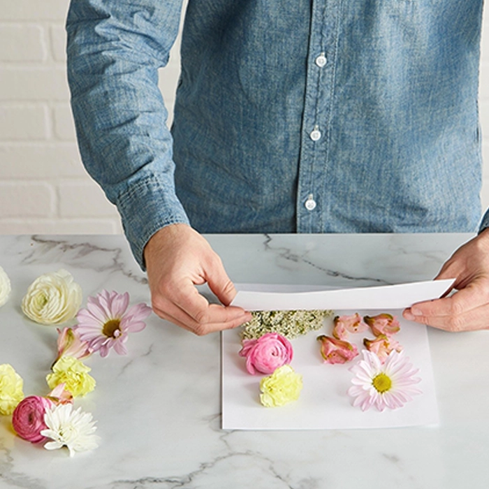 نکات مخصوص خشک کردن گل بدون تغییر رنگ